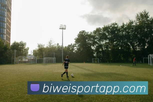 必威体育平台生态图