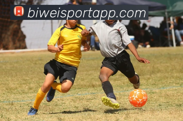 必威体育全站App